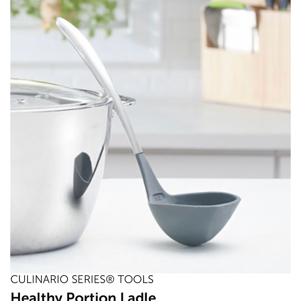 Princess House Silver and Gray Ladle